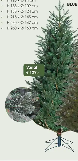 Coppelmans Black box frasier x mas tree Blue aanbieding