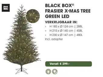 Coppelmans Black box frasier x mas tree green led aanbieding