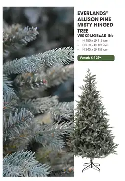 Coppelmans Everlands allison pine misty hinged tree aanbieding