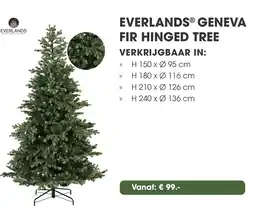 Coppelmans Everlands® geneva fir hinged tree aanbieding