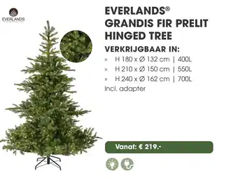 Coppelmans Everlands grandis fir prelit hinged tree aanbieding