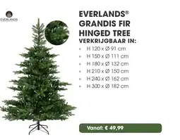 Coppelmans Everlands grandis fir hinged tree v aanbieding