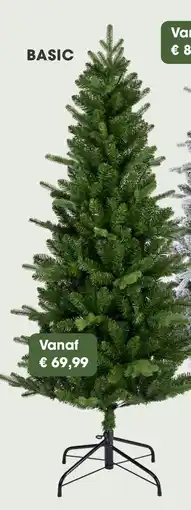 Coppelmans Everlands killington Basic aanbieding