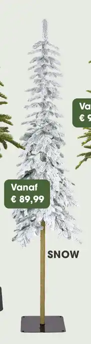 Coppelmans Everlands alpine tree Snow aanbieding