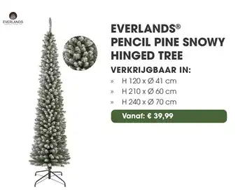 Coppelmans Everlands pencil pine snowy hinged tree aanbieding