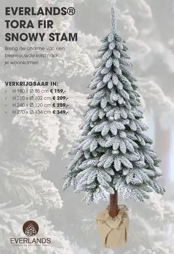 Coppelmans Everlands tora fir snowy stam aanbieding