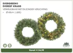 Coppelmans Evergreen everest krans aanbieding