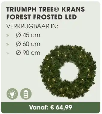 Coppelmans Triumph tree krans forest frosted led aanbieding