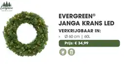 Coppelmans Evergreen janga krans led aanbieding