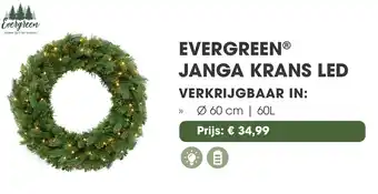 Coppelmans Evergreen janga krans led aanbieding