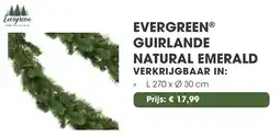 Coppelmans Evergreen guirlande natural emerald aanbieding