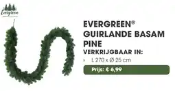 Coppelmans Evergreen guirlande basam pine aanbieding