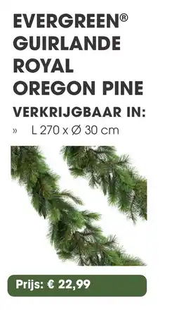 Coppelmans Evergreen Guirlande royal oregon pine aanbieding