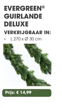 Coppelmans Evergreen guirlande deluxe aanbieding