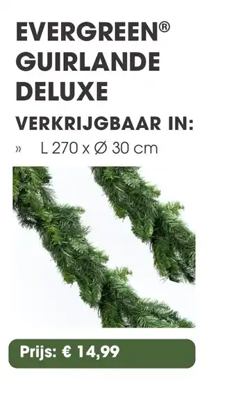Coppelmans Evergreen guirlande deluxe aanbieding