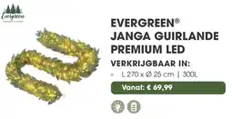 Coppelmans Evergreen janga guirlande premium led aanbieding