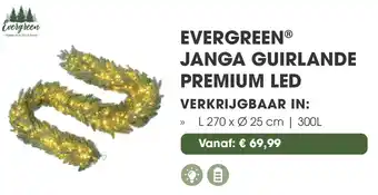 Coppelmans Evergreen janga guirlande premium led aanbieding