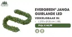 Coppelmans Evergreen janga guirlande led aanbieding