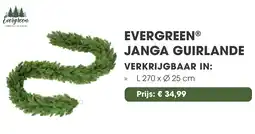 Coppelmans Evergreen janga guirlande aanbieding