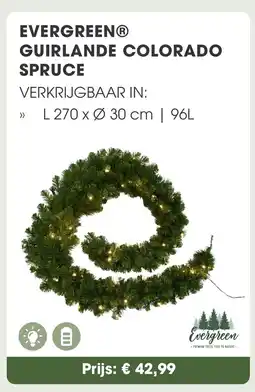 Coppelmans Evergreen guirlande colorado spruce aanbieding
