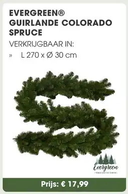 Coppelmans Evergreen guirlande colorado spruce aanbieding