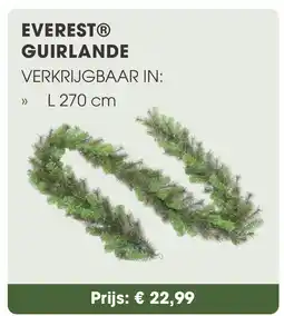 Coppelmans Everest guirlande aanbieding