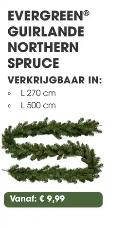 Coppelmans EVERGREEN GUIRLANDE NORTHERN SPRUCE aanbieding
