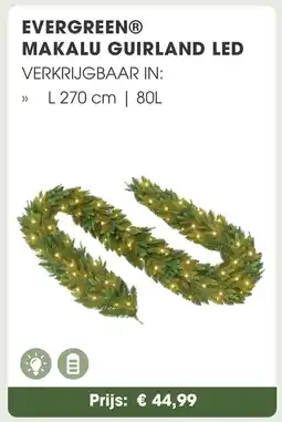 Coppelmans Evergreen makalu guirland led aanbieding