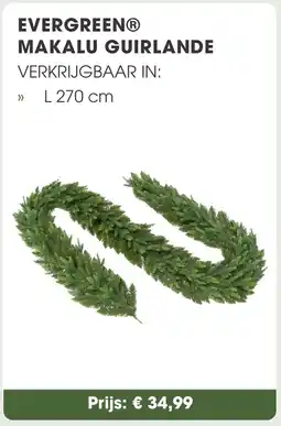 Coppelmans Evergreen makalu guirlande aanbieding