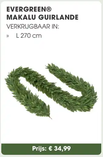Coppelmans Evergreen makalu guirlande aanbieding