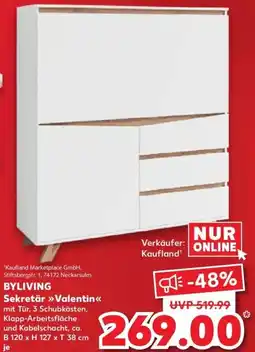 Kaufland DE Byliving Sekretär Valentin aanbieding
