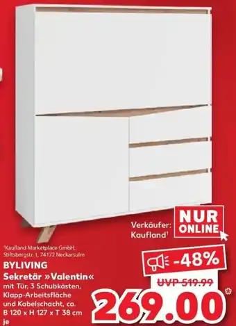 Kaufland DE Byliving Sekretär Valentin aanbieding