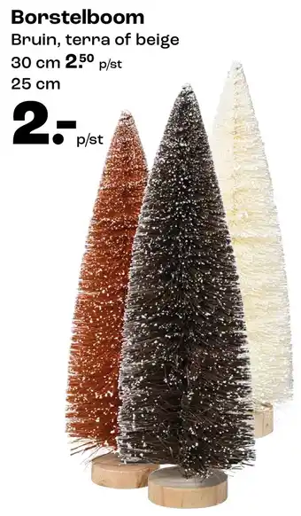 Kwantum Borstelboom aanbieding