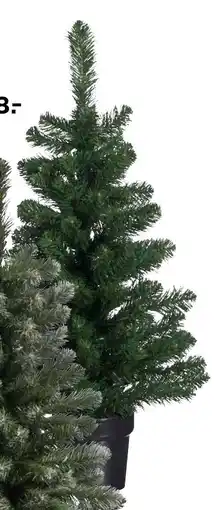 Kwantum Kerstboom aanbieding