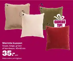 Kwantum Warmte kussen aanbieding