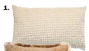 Kwantum Kussen Troia aanbieding