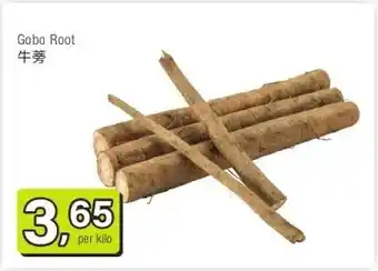 Amazing Oriëntal Gobo Root 牛蒡 aanbieding