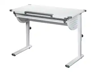 Lidl LIVARNO home Kinderbureau aanbieding