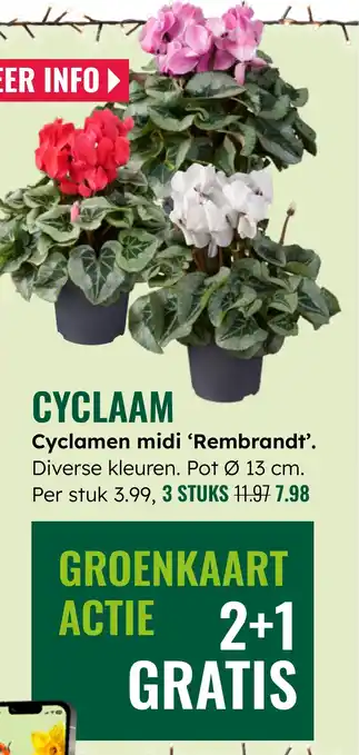 GroenRijk Cyclaam aanbieding