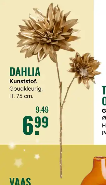 GroenRijk Dahlia aanbieding