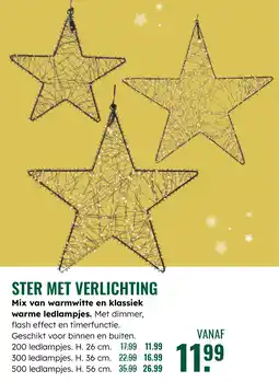 GroenRijk Ster met verlichting aanbieding
