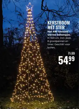GroenRijk Kerstboom met ster aanbieding