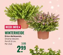 GroenRijk Winterheide aanbieding