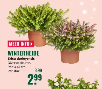 GroenRijk Winterheide aanbieding