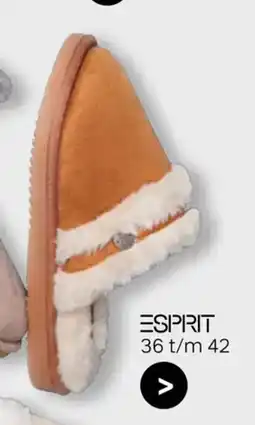 vanHaren Esprit aanbieding