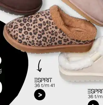 vanHaren Esprit aanbieding