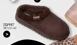 vanHaren Esprit aanbieding