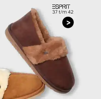 vanHaren Esprit aanbieding