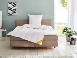 Lidl Balette Donzen dekbed Gold-Edition medium aanbieding