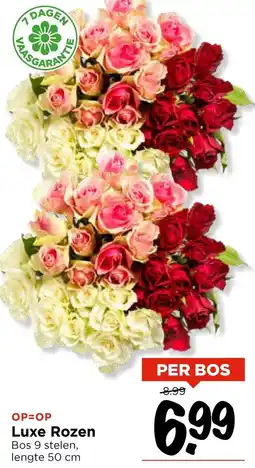Vomar Voordeelmarkt Luxe Rozen aanbieding